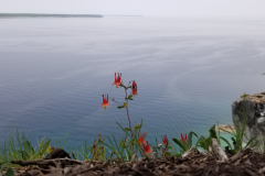 Map 38 Lions Head > Barrow Bay