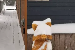 A Stone Studio Winter