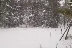 IMG_20240115_154351_750